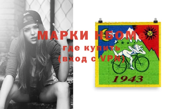 прущие грибы Новозыбков