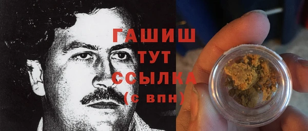 молекула духа Тихвин