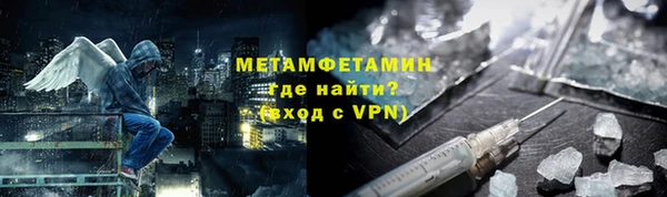 прущие грибы Новозыбков