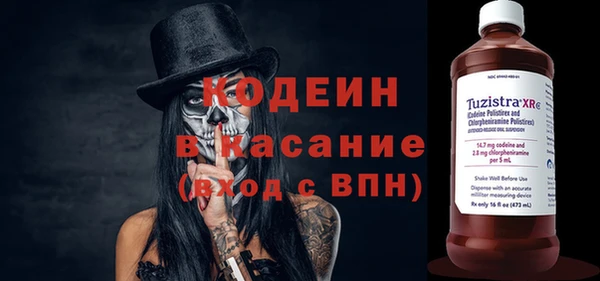 прущие грибы Новозыбков