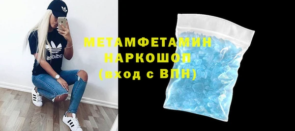 прущие грибы Новозыбков