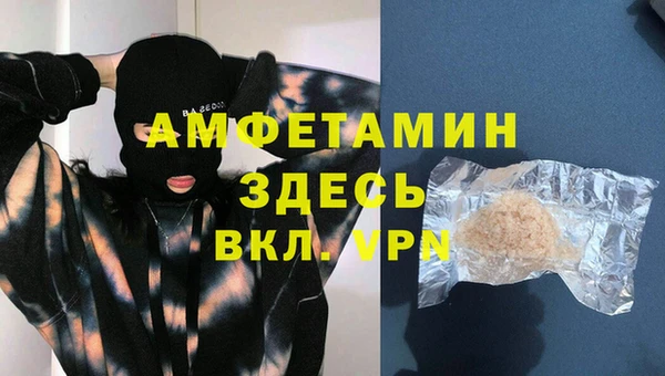 прущие грибы Новозыбков