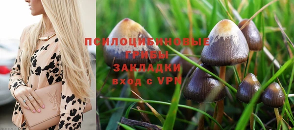 круглые Новодвинск