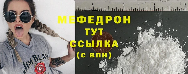 прущие грибы Новозыбков