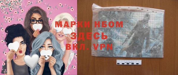 прущие грибы Новозыбков