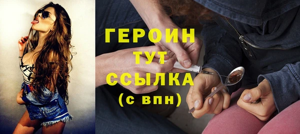прущие грибы Новозыбков