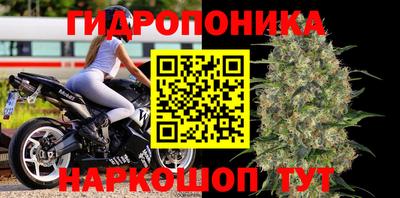 МДПВ Гусев