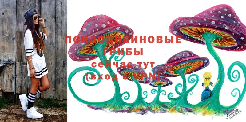 где продают   Ирбит  Галлюциногенные грибы Psilocybine cubensis 