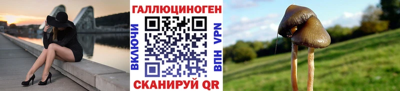Псилоцибиновые грибы Magic Shrooms  Ирбит 