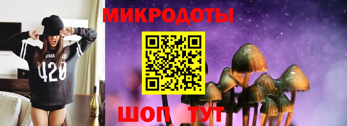 Ирбит  Псилоцибиновые грибы Cubensis  Вход с VPN  Псилоцибиновые грибы Psilocybine cubensis 