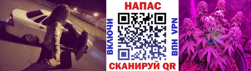 где купить наркоту  Ирбит  МАРИХУАНА SATIVA & INDICA 